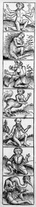 Monstra z „Norimberské kroniky“ od Hartmanna Schedela, vydané v roce 1493