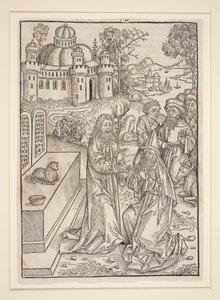 Stránka od Stephana Fridolina, Strážce pokladů (Norimberk: Anton Koberger, 1491) od Michael Wolgemut