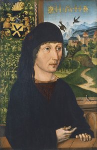 Portrét Levinus Memminger, cca 1485 od Michael Wolgemut