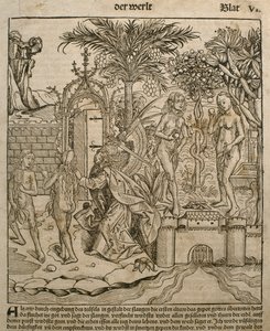 Adam a Eva, ilustrace z „Liber Chronicarum“ od Hartmanna Schedela (1440-1514) vydaného v Norimberku, 1493