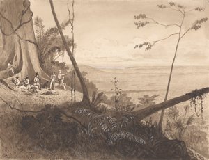 Cedar Point, Mount Tamana od Michel Jean Cazabon