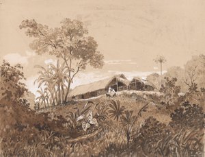 Chata, Mount Tamana