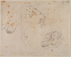 Kopie z Posledního soudu od Michelangelo (after) Buonarroti