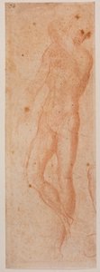 Studie mužského aktu od Michelangelo (after) Buonarroti