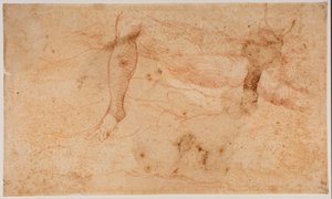 Studie aktů od Michelangelo (after) Buonarroti