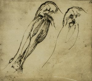 Anatomické studie nohy, kresba Michelangelo. Casa Buonarroti, Florencie od Michelangelo Buonarroti