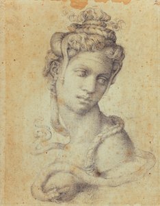 Kleopatra od Michelangelo Buonarroti