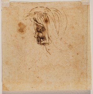 Hlava ženy od Michelangelo Buonarroti