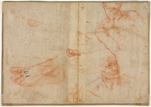 Figurální studie pro Sixtinský strop (verze) od Michelangelo Buonarroti
