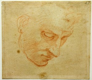 Studie hlavy ke stropu Sixtinské kaple, asi 1509-1510 od Michelangelo Buonarroti