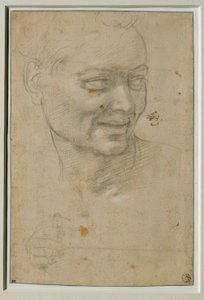 Hlava a pravá ruka Ignuda nahoře a nalevo od Izaiáše od Michelangelo Buonarroti