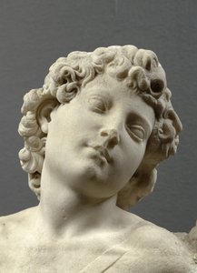 Head of the 