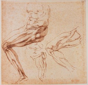 Studie nohou od Michelangelo Buonarroti