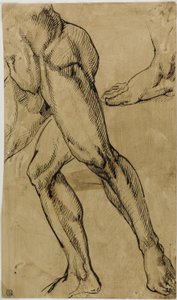Nohy a chodidla mužského aktu od Michelangelo Buonarroti