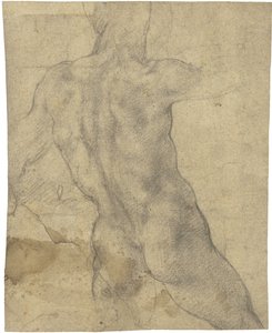 Mužský akt od Michelangelo Buonarroti