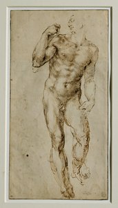 Mužský akt, pohled zepředu, asi 1502-1506 ... od Michelangelo Buonarroti
