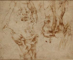 Nahé studie, c1490-1560 od Michelangelo Buonarroti
