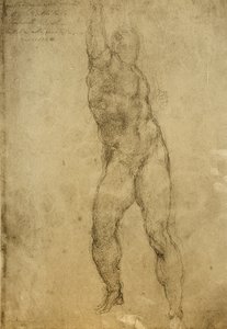 Studie aktu, kresba Michelangelo. Gallerie dellAccademia, Benátky od Michelangelo Buonarroti
