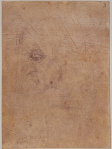Profil staré ženy od Michelangelo Buonarroti
