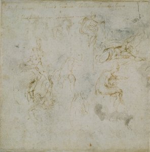 Recto: Osm obrazových studií. Verso: Figure Study, c1490-1560. od Michelangelo Buonarroti