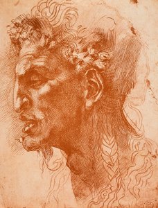 Satyrs Head; kresba Michelangelo. Louvre, Paříž od Michelangelo Buonarroti
