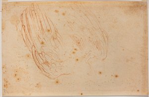 Náčrtek orla od Michelangelo Buonarroti