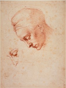 Studie pro hlavu "Ledy od Michelangelo Buonarroti
