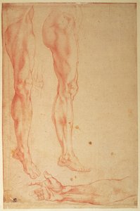 Studie nohou a paží (červená křída na papíře) od Michelangelo Buonarroti