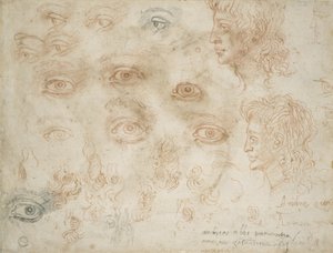 Studie dvou hlav, c.1525 (křída na papíře) od Michelangelo Buonarroti