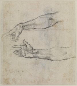Studie natažené ruky pro fresku "Opilost Noemova" v Sixtinské kapli, asi 1508-09 (černá křída na papíře) od Michelangelo Buonarroti