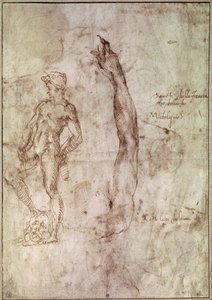 Studie k Davidovi (pero a tuš na papíře) od Michelangelo Buonarroti
