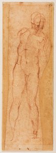 Studie mužné postavy od Michelangelo Buonarroti