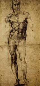 Studie pro mužský akt, Michelangelo Buonarroti (1475-1564), kresba, Paříž, muzeum Louvre