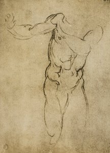 Studie k mužnému poprsí, kresba Michelangelo. Casa Buonarroti, Florencie od Michelangelo Buonarroti
