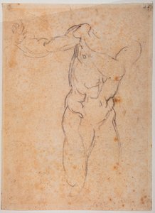 Studie k obrazu Vyhnání z Pardisu v Sixtinské kapli od Michelangelo Buonarroti