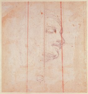 Studie pro hlavu libyjské Sibyly (černá křída na papíře) (verze) od Michelangelo Buonarroti