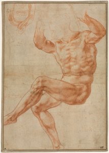 Studie pro nahé mládí proroka Daniela (recto) od Michelangelo Buonarroti