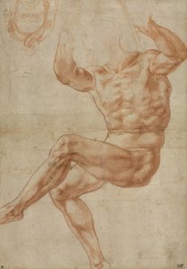 Studie pro nahé mládí nad prorokem Danielem, pro Sixtinský strop, 1510-11