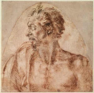 Studie hlavy a ramen (inkoust na papíře) od Michelangelo Buonarroti