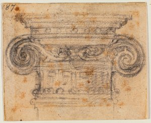 Studium iontového kapitálu od Michelangelo Buonarroti