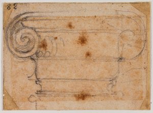 Studium iontového kapitálu od Michelangelo Buonarroti