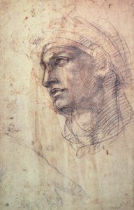 Studie hlavy (uhl na papíře) od Michelangelo Buonarroti