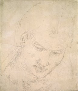 Studie hlavy, c1490-1560 od Michelangelo Buonarroti