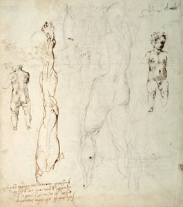 Studie Ježíška a anatomická kresba s poznámkami (černá křída a hnědý inkoust na papíře) (verze) od Michelangelo Buonarroti