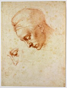 Studie k hlavě Ledy, asi 1530 od Michelangelo Buonarroti