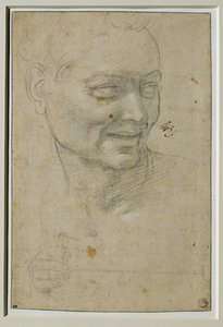 Hlava a pravá ruka ignuda nad Izaiášem a vlevo od něj, na klenbě Capella Sistina ... od Michelangelo Buonarroti