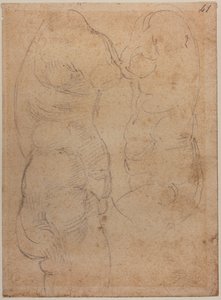 Dvě studie o starověké Venuši od Michelangelo Buonarroti