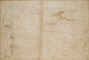 Verso: Studie mužské nohy, c1490-1560 od Michelangelo Buonarroti