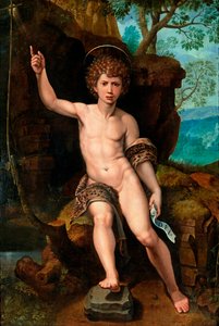 ""Representation de saint jean Baptiste"" (Saint John the Baptist) Peinture de Michael Coxcie (Michiel Coxien) (De Coxien, De Coxcie, Coxius, Van Coxcie et Coxie) (1499-1592) 16eme siecle Olej na dřevě Rozměr 104x7 cm Soukromá sbírka od Michiel I Coxie or Coxcie