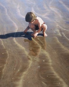 Hledání mušlí od Mike Briscoe